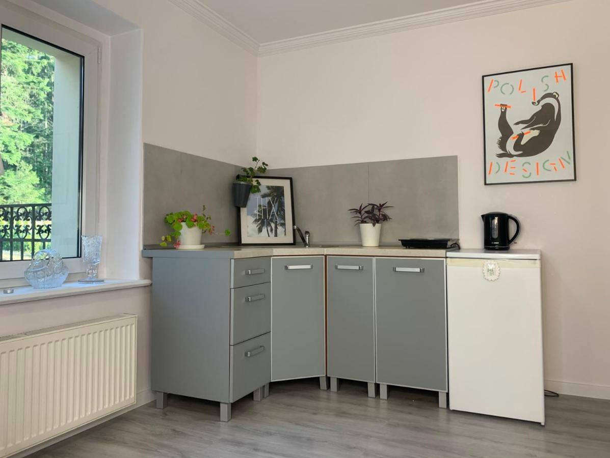 Apartament Lesny - Lesna 30 Kudowa-Zdrój Eksteriør bilde