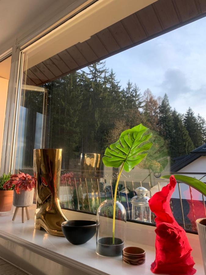 Apartament Lesny - Lesna 30 Kudowa-Zdrój Eksteriør bilde